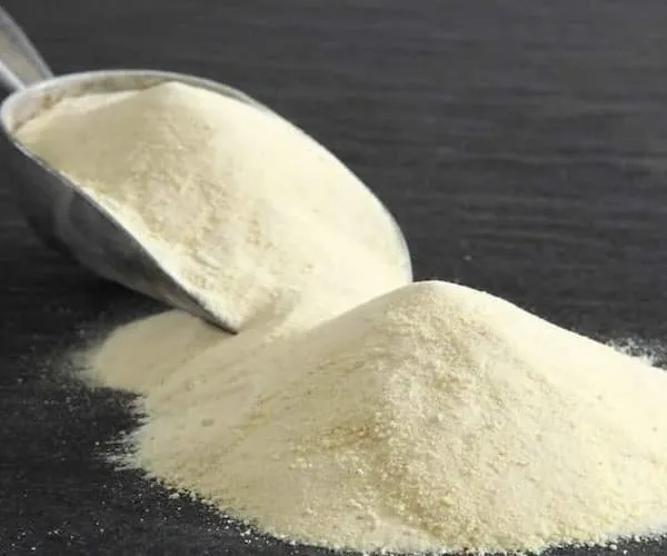 قیمت خرید پودر آب پنیر + خواص، معایب و مزایا